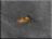 DF-icon-ingredient-Dust.png