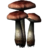 SR-icon-ingredient-Fly Amanita.png