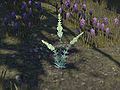 In Elder Scrolls Online